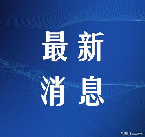 太原期货最新爆料,市场动态揭秘，投资风向标再起